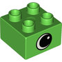 Groen-4-nops-blokje-met-afbeelding-oogje