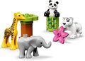 Baby dierentuin met nieuw model dieren (incl. panda)