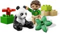 Pandabeer-met-verzorger-(nieuw-model)
