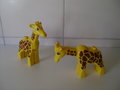 Giraf-(groot-model)