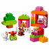 Partij Lego Duplo blokken in een handige opbergbox van "Lego" (meisjes) _7